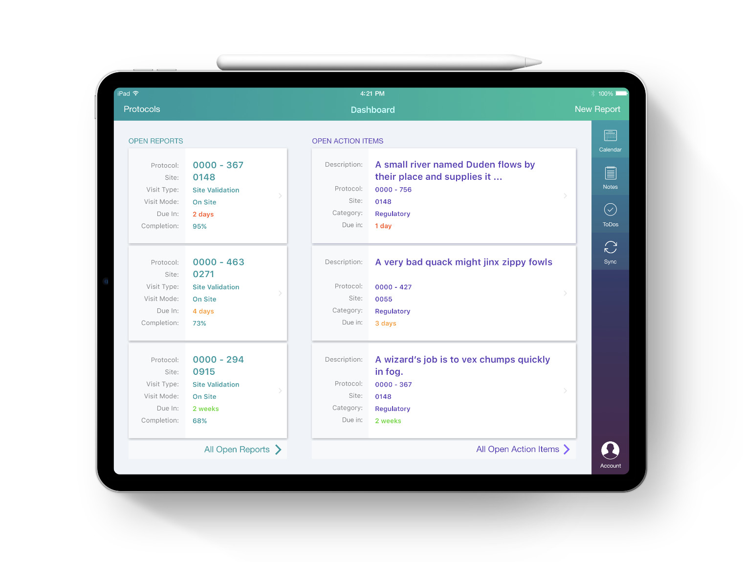 CSMAR iPad application